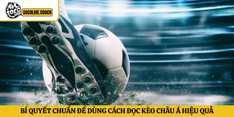 Bí quyết chuẩn để dùng cách đọc kèo Châu Á hiệu quả