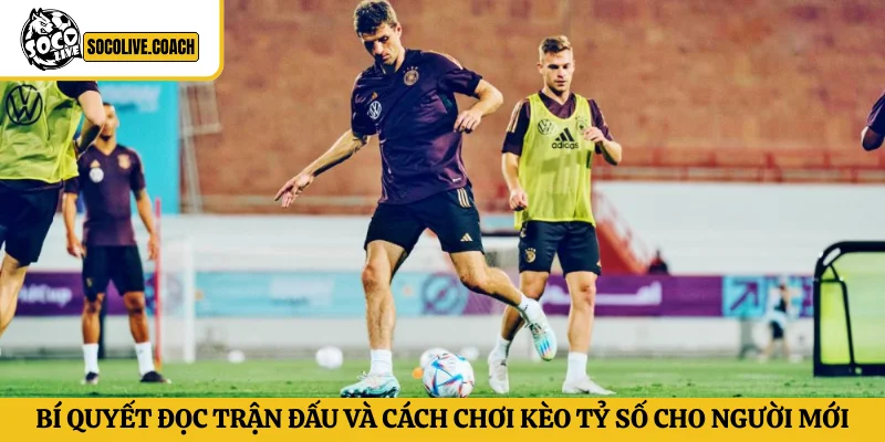 cách chơi kèo tỷ số