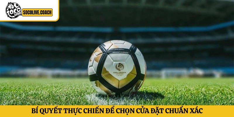 Bí quyết thực chiến để chọn cửa đặt chuẩn xác