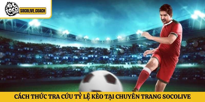 Cách thức tra cứu tỷ lệ kèo tại chuyên trang Socolive