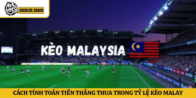 Cách tính toán tiền thắng thua trong tỷ lệ kèo Malay