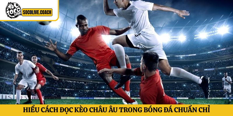 Hiểu cách đọc kèo Châu Âu trong bóng đá chuẩn chỉ