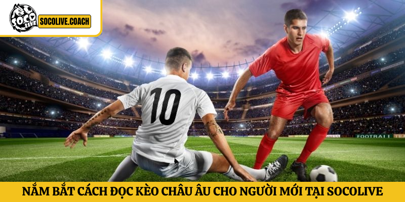 cách đọc kèo Châu Âu