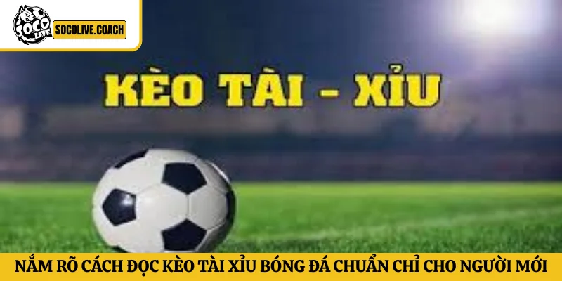 cách đọc kèo tài xỉu