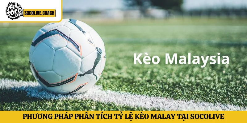 Phương pháp phân tích tỷ lệ kèo Malay tại Socolive