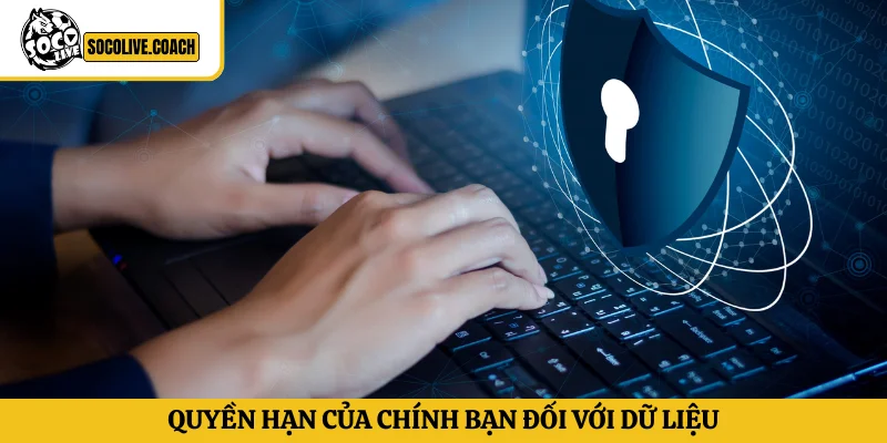 Quyền hạn của chính bạn đối với dữ liệu theo chính sách bảo mật